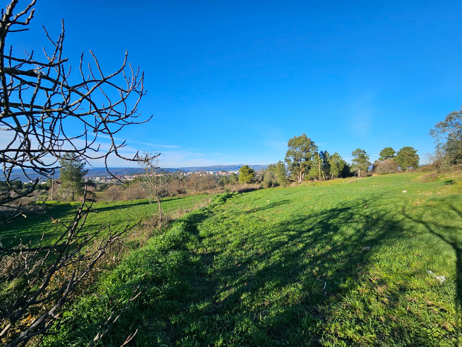  köpa hus på landet Aldeia da Serra Celorico Da Beira 4