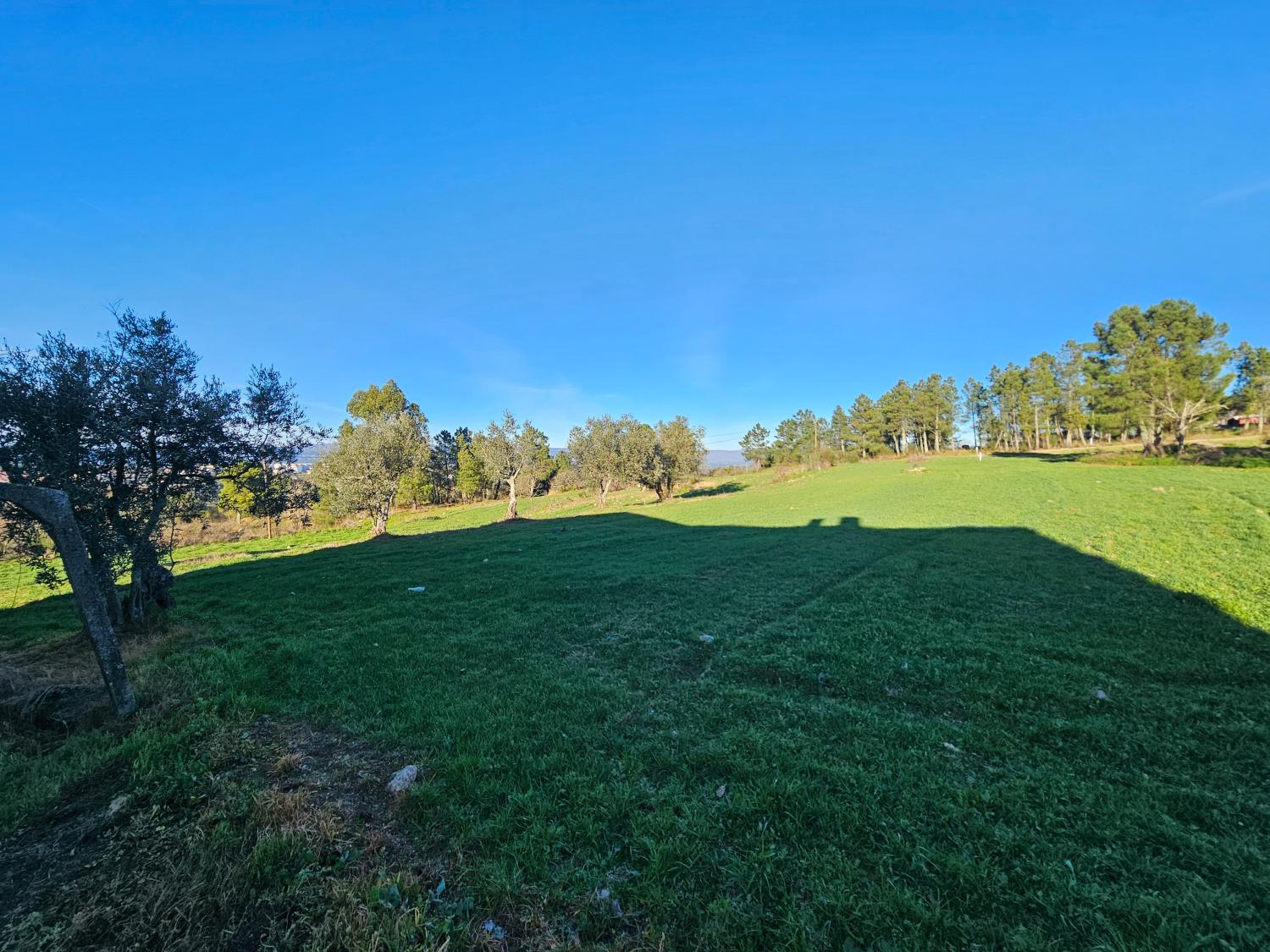  köpa hus på landet Aldeia da Serra Celorico Da Beira 5