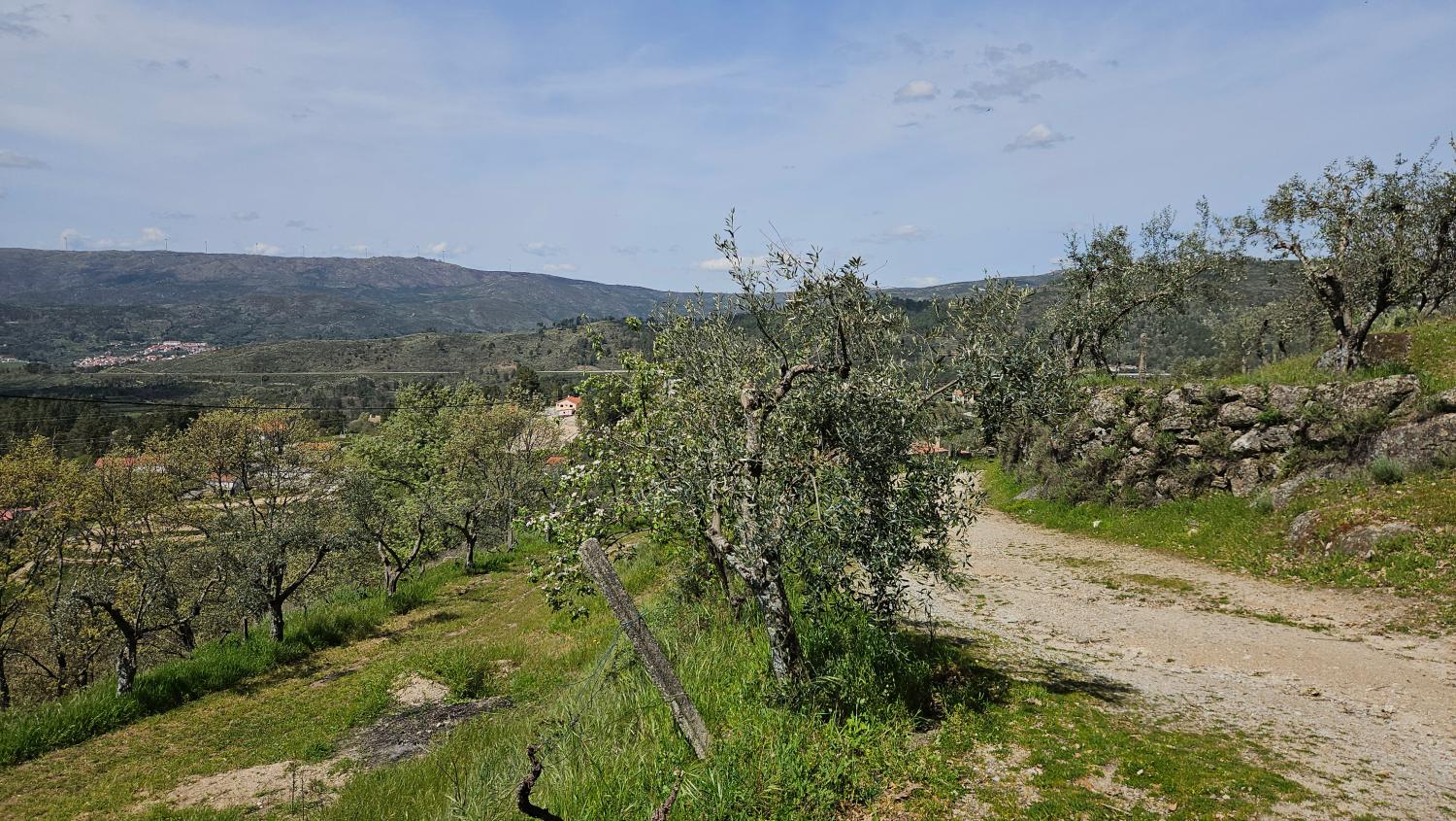  köpa hus Benespera Guarda 6