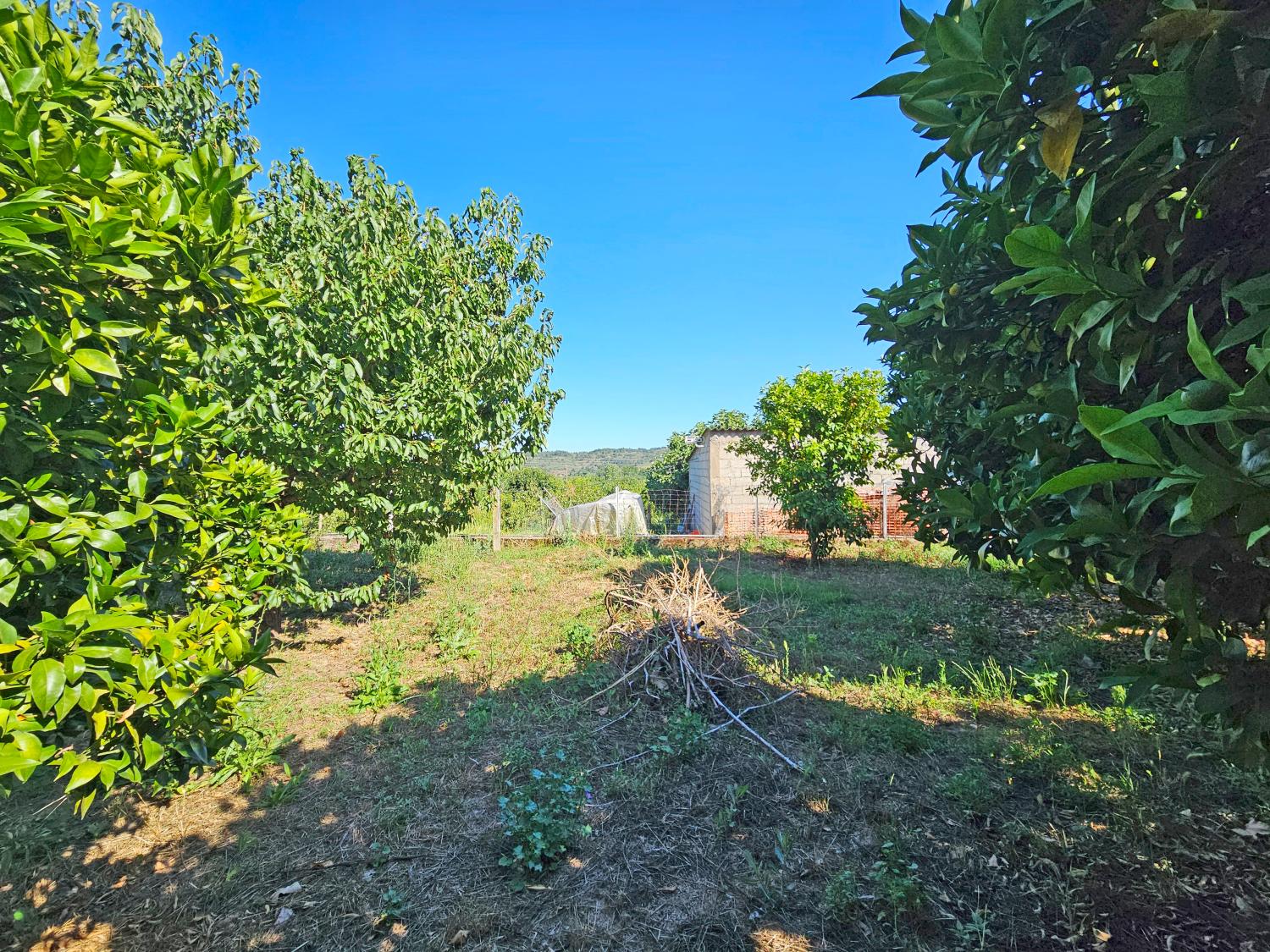 köpa hus Orjais Covilhã 3