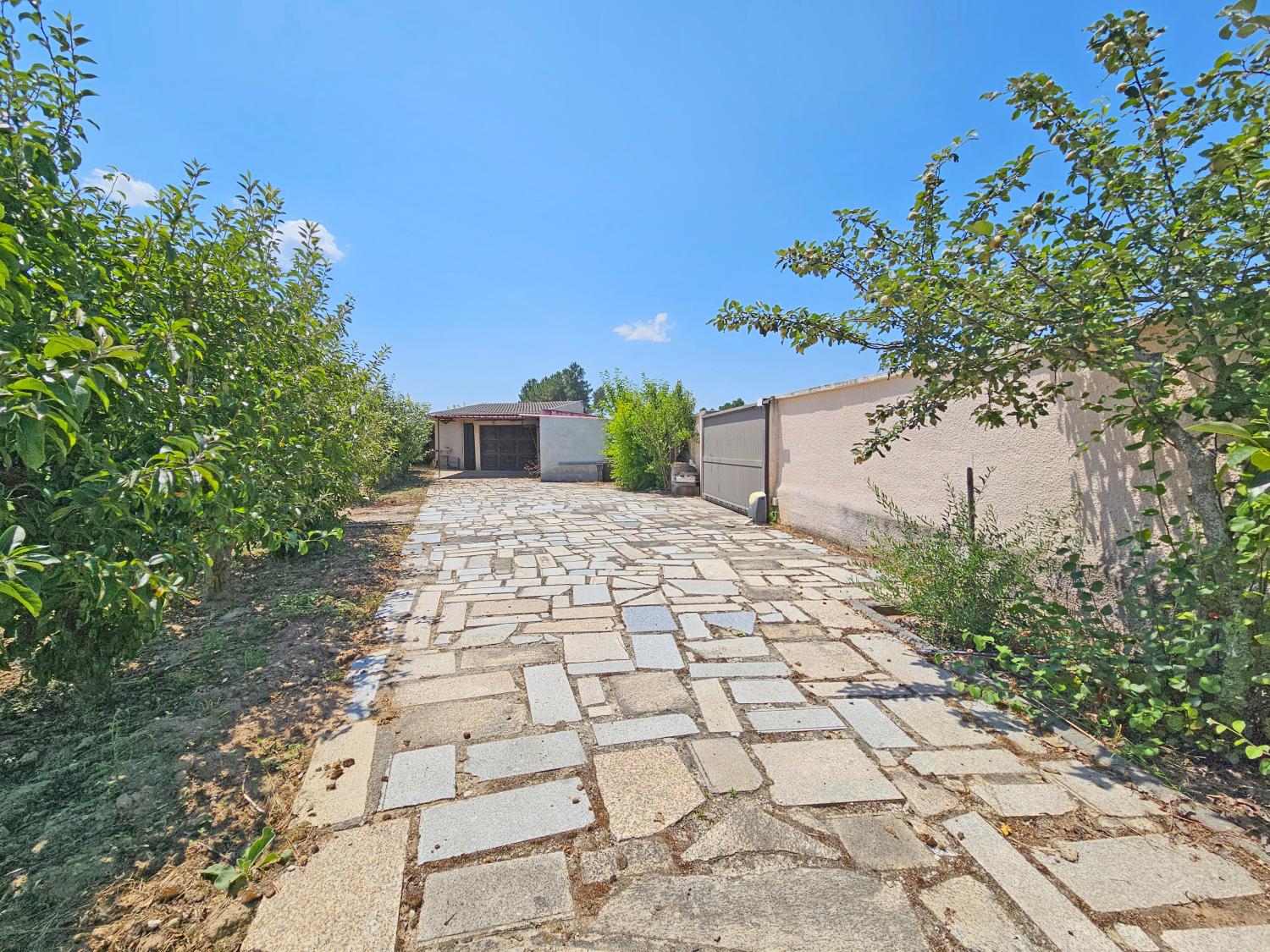 köpa avskilt hus Souro Pires Pinhel 13